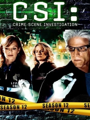 CSI: Đội Điều Tra Hiện Trường (Mùa 12)