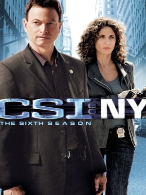 CSI: New York (Mùa 6)